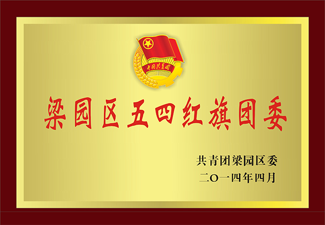 梁園區(qū)五四紅旗團(tuán)委